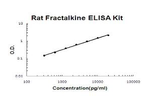 Rat Fractalkine Accusignal ELISA Kit Rat Fractalkine AccuSignal ELISA Kit standard curve. (CX3CL1 ELISA 试剂盒)