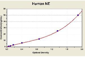 Diagramm of the ELISA kit to detect Human NEwith the optical density on the x-axis and the concentration on the y-axis. (ELANE ELISA 试剂盒)