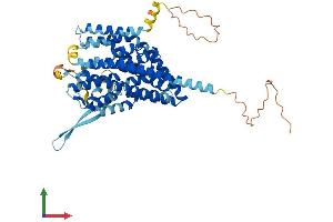 Protein Structure (PS) image for Solute Carrier Family 1 (Glutamate/Neutral Amino Acid Transporter), Member 4 (SLC1A4) (AA 1-532) protein (His tag) (ABIN7562380)