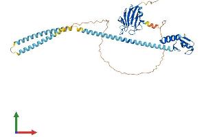 AlphaFold protein structure predicition of Human Recombinant RNF8 Protein, UniprotID O76064