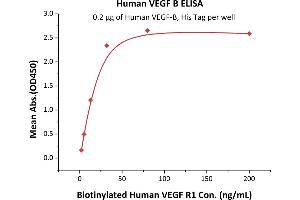 Vascular Endothelial Growth Factor B (VEGFB) (AA 22-207) (Active) protein (His tag)