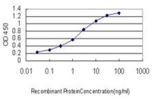 Detection limit for recombinant GST tagged GHR is approximately 0. (Growth Hormone Receptor 抗体  (AA 19-118))