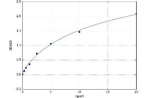 Calcium-Sensing Receptor (CASR) ELISA Kit