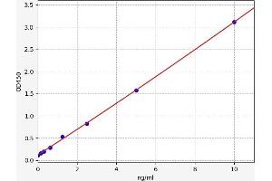 Typical standard curve (ARNT2 ELISA 试剂盒)