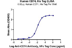 ELISA image for HLA-DR-gamma (CD74) (AA 73-232) protein (His tag) (ABIN7274222)
