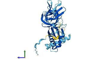 AlphaFold protein structure predicition of Mouse Recombinant Exosc2 Protein, UniprotID Q8VBV3
