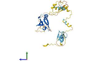 Protein Structure (PS) image for PDZ and LIM Domain 3 (PDLIM3) (AA 1-364) protein (His tag) (ABIN7550689)