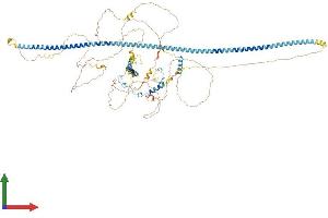 Protein Structure (PS) image for Inner Centromere Protein Antigens 135/155kDa (INCENP) (AA 1-918) protein (His tag) (ABIN7554190)