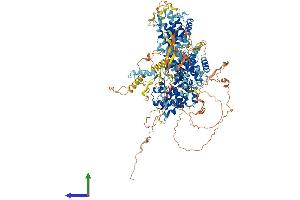 AlphaFold protein structure predicition of Human Recombinant RBL2 Protein, UniprotID Q08999