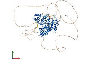 Protein Structure (PS) image for MAP/microtubule Affinity-Regulating Kinase 1 (MARK1) (AA 1-795) protein (His tag) (ABIN7554489)