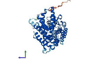Protein Structure (PS) image for Membrane Bound O-Acyltransferase Domain Containing 7 (MBOAT7) (AA 1-472) protein (His tag) (ABIN7554481)