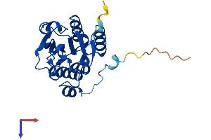 Protein Structure (PS) image for Isochorismatase Domain Containing 2b (ISOC2B) (AA 1-210) protein (His tag) (ABIN7561328)