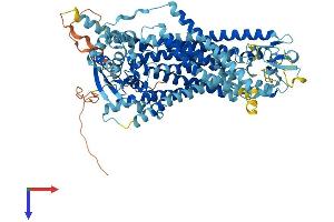 ANO9 Protein (AA 1-782) (His tag)