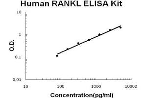 Human TNFSF11/RANKL PicoKine ELISA Kit standard curve (RANKL ELISA 试剂盒)