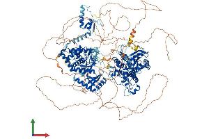 Protein Structure (PS) image for Zinc Finger, CCHC Domain Containing 6 (ZCCHC6) (AA 1-1491) protein (His tag) (ABIN7563798)