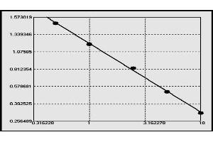 Angiotensin II Receptor, Type 1 Antibody (AGTR1 Ab) ELISA 试剂盒