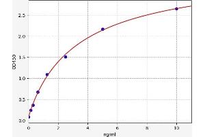 Typical standard curve (APLP2 ELISA 试剂盒)