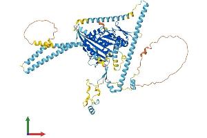 Protein Structure (PS) image for Kinesin Family Member 3B (KIF3B) (AA 1-747) protein (His tag) (ABIN7548785)