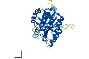 Protein Structure (PS) image for Elongator Acetyltransferase Complex Subunit 6 (ELP6) (AA 1-266) protein (His tag) (ABIN7547380)