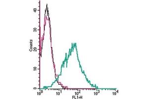 Flow Cytometry (FACS) image for anti-Solute Carrier Family 1 (Glial High Affinity Glutamate Transporter), Member 3 (SLC1A3) (AA 188-200), (Extracellular) antibody (ABIN7043662)