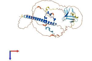 SAV1 Protein (AA 1-386) (His tag)
