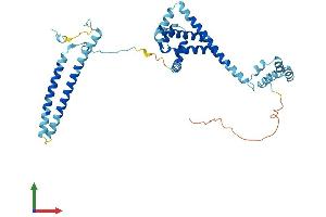 Protein Structure (PS) image for Cell Division Cycle 37 Homolog (S. Cerevisiae) (CDC37) (AA 1-378) protein (His tag) (ABIN7553111)
