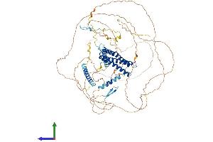 AlphaFold protein structure predicition of Mouse Recombinant Dlgap5 Protein, UniprotID Q8K4R9