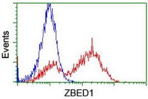 Image no. 2 for anti-Zinc Finger, BED-Type Containing 1 (ZBED1) antibody (ABIN1501796) (ZBED1 抗体)