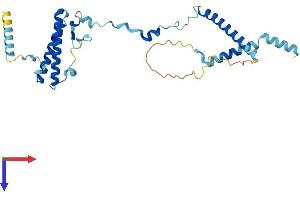 AlphaFold protein structure predicition of Mouse Recombinant Isy1 Protein, UniprotID Q69ZQ2