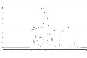 High Pressure Liquid Chromatography (HPLC) image for Programmed Cell Death 1 Ligand 2 (PDCD1LG2) (AA 20-219) (Active) protein (Fc Tag) (ABIN2749238)