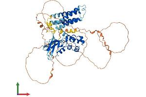 AlphaFold protein structure predicition of Mouse Recombinant Cnksr3 Protein, UniprotID Q8BMA3
