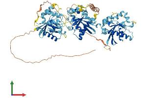 Protein Structure (PS) image for GTPase, IMAP Family Member 8 (GIMAP8) (AA 1-688) protein (His tag) (ABIN7558159)