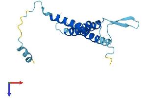 OSTC Protein (AA 1-149) (His tag)