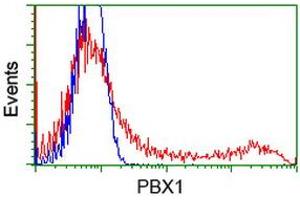 Flow Cytometry (FACS) image for anti-Pre-B-Cell Leukemia Homeobox Protein 1 (PBX1) antibody (ABIN1500045) (PBX1 抗体)