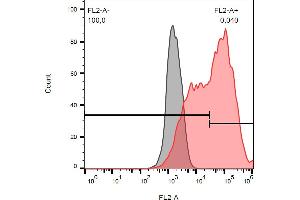 Separation of cells stained using anti-human 263 (TRAIL-R3-02) PE antibody (concentration in sample 5 μg/mL, red) from cells stained using mouse IgG1 isotype control (MOPC-21) PE antibody (concentration in sample 5 μg/mL, grey) in flow cytometry analysis (surface staining) of CD263 transfected HEK-293 cell suspension.