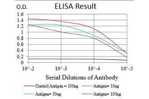 Black line: Control Antigen (100 ng), Purple line: Antigen(10 ng), Blue line: Antigen (50 ng), Red line: Antigen (100 ng), (TUBE1 抗体  (AA 314-472))