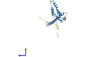 Protein Structure (PS) image for Chromosome 4 Open Reading Frame 43 (C4orf43) (AA 1-203) protein (His tag) (ABIN7544532)