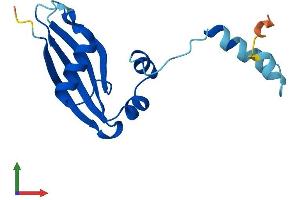 Protein Structure (PS) image for Ribosomal Protein S24 (RPS24) (AA 1-133) protein (His tag) (ABIN7556619)
