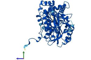 Protein Structure (PS) image for Cysteine-S-conjugate beta-Lyase (CCBL1) (AA 1-424) protein (His tag) (ABIN7558887)