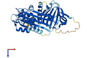 AlphaFold protein structure predicition of Human Recombinant SERPINB7 Protein, UniprotID O75635