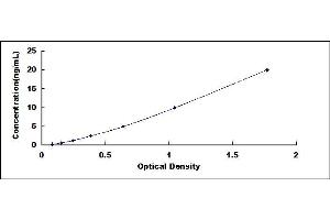 Typical standard curve (C4orf49 ELISA 试剂盒)