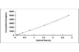 Typical standard curve (FCGR1 ELISA 试剂盒)