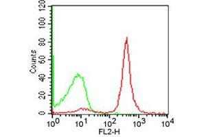 Flow Cytometry (FACS) image for anti-CD19 Molecule (CD19) antibody (PE) (ABIN6657888)