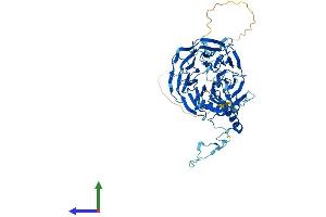 Protein Structure (PS) image for Cell Division Cycle 40 (CDC40) (AA 1-579) protein (His tag) (ABIN7561319)
