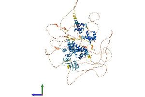 Protein Structure (PS) image for Zinc Fingers and Homeoboxes 3 (ZHX3) (AA 1-956) protein (His tag) (ABIN7556114)