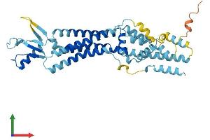 AlphaFold protein structure predicition of Human Recombinant PANX3 Protein, UniprotID Q96QZ0