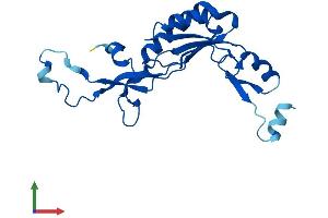 Protein Structure (PS) image for Ribosomal Protein L10L (RPL10L) (AA 1-214) protein (His tag) (ABIN7556766)