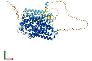 Protein Structure (PS) image for Solute Carrier Family 5 (Sodium/inositol Cotransporter), Member 11 (SLC5A11) (AA 1-673) protein (His tag) (ABIN7564614)