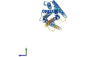 Protein Structure (PS) image for MAS-Related GPR, Member E (MRGPRE) (AA 1-312) protein (His tag) (ABIN7549492)