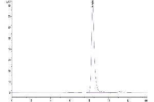Size-exclusion chromatography-High Pressure Liquid Chromatography (SEC-HPLC) image for Complement C2 (AA 21-752) protein (His tag) (ABIN7274035)
